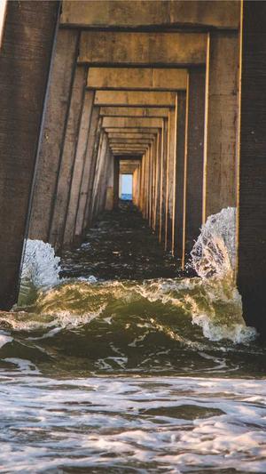 seo优化站长工具截图3