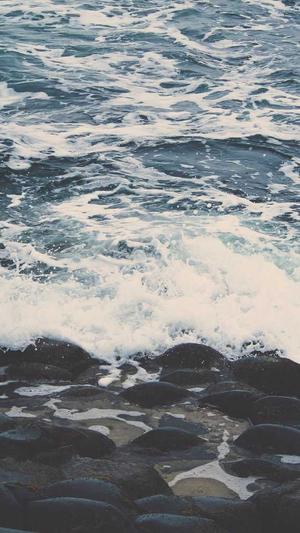 网排名工具seo截图5