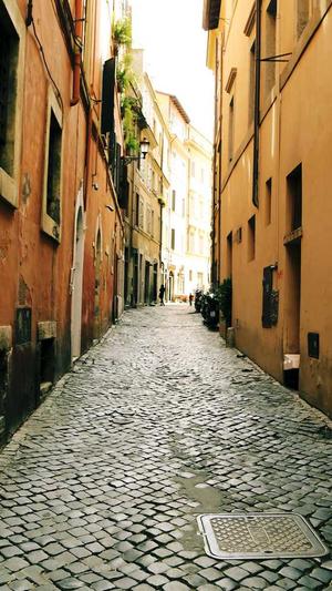 seo优化工具下载截图2