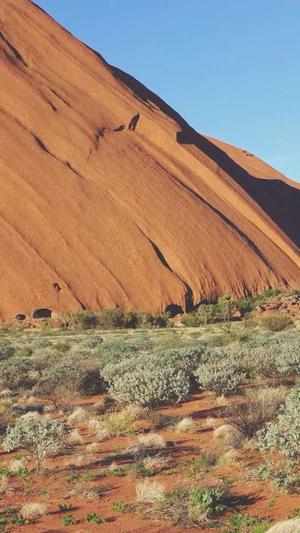 莱芜网站建设截图3