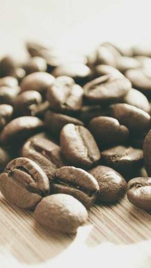 高效seo外链工具截图3