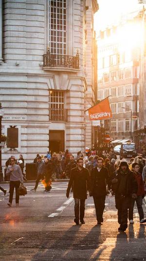 seo搜索工具截图2