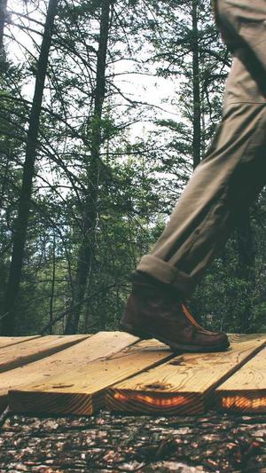 泛目录推广接单打广告截图2