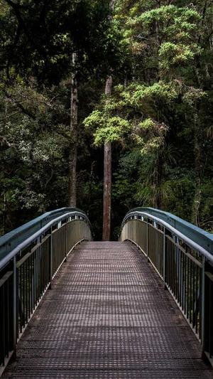 百度seo查询工具截图4