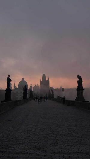 福建seo工具效果截图2