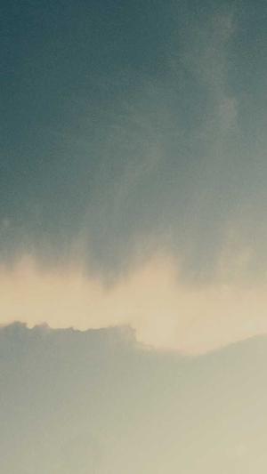 上海蜘蛛池出租平台截图2