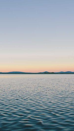 逆冬seo工具截图2