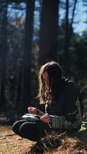 免费蜘蛛池平台截图3