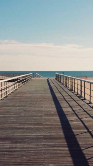 泛目录推广平台截图3