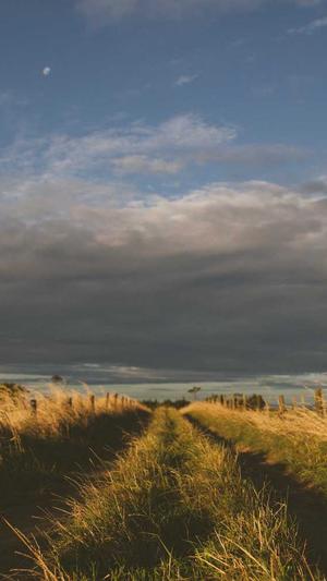 SEO网页综合查询工具截图3