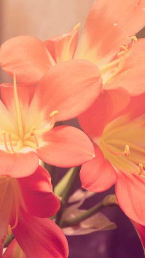 张家口网站建设截图4