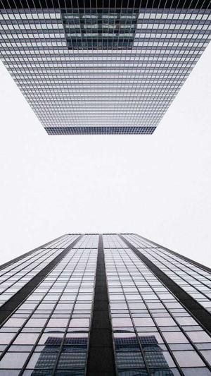 泛目录收录怎么样截图2