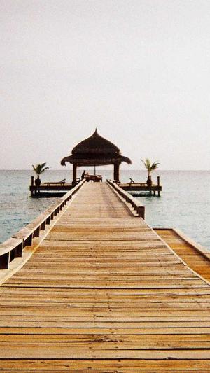 杭州精品网站建设截图1