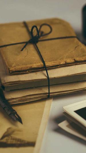 辽宁蜘蛛池出租包月截图3