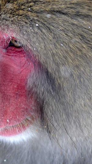 长沙网站建设1681989截图1