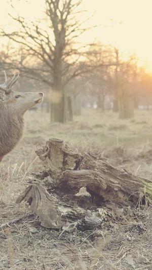 嘉定网站建设截图3