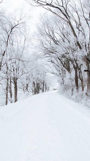 北京seo推广截图4