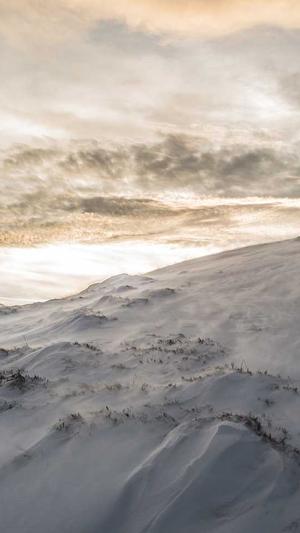 台州seo优化截图5