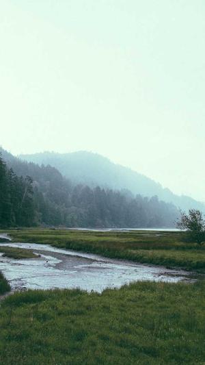 seo排名工具站长工具截图4