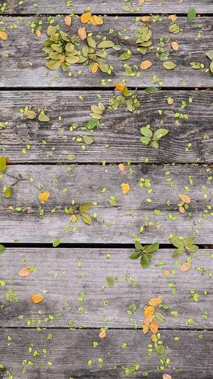 浙江网站建设截图1