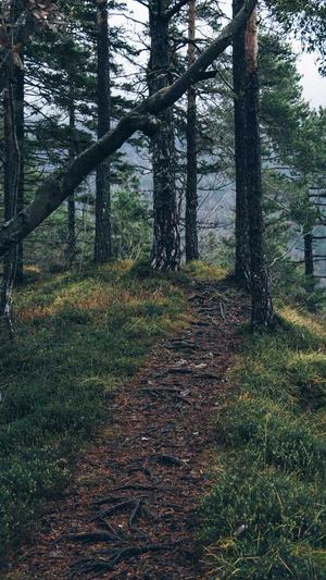 成都建设局网站截图4