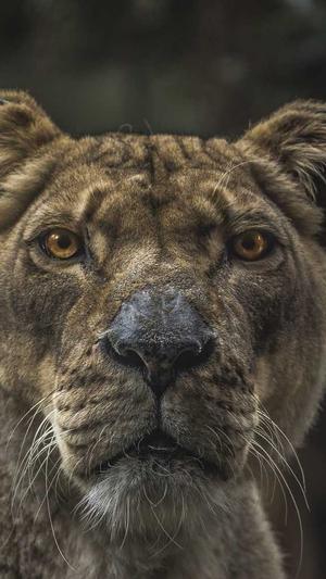 莱芜网站建设截图5