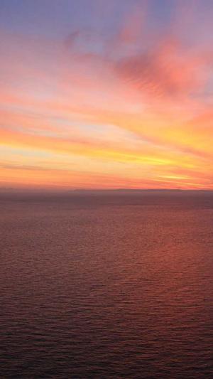 小旋风蜘蛛池授权截图3