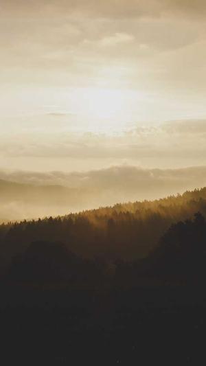 宝塔可以安装蜘蛛池截图3