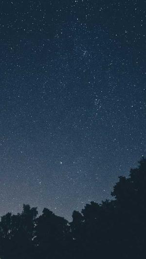 济南seo关键词排名工具截图2