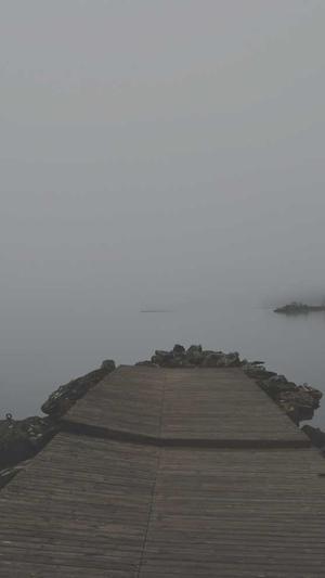 seo每日一贴截图1