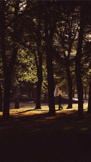 重庆网站seo推广公司截图5