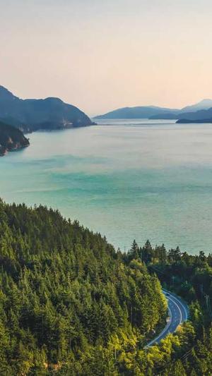 网站建设怎么进行一级域名申请截图4