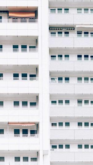 优化蜘蛛池截图2