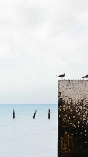 排名精灵seo截图5