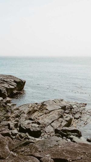 重庆网站seo推广公司截图4