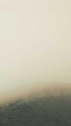 蜘蛛池能上排名吗截图3