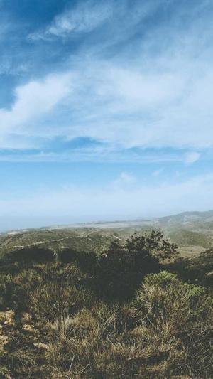 北京seo推广截图1