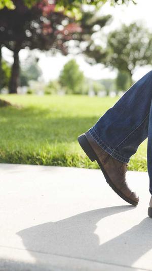 seo优化分析截图4