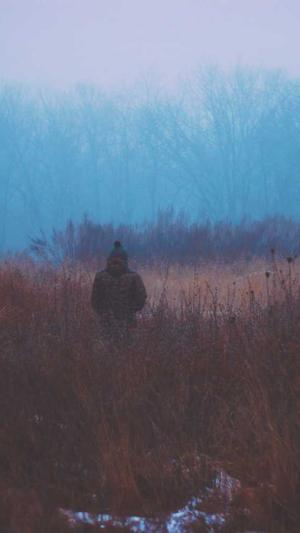 seo搜索工具截图1