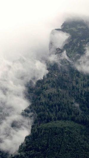 自己搭个蜘蛛池截图3