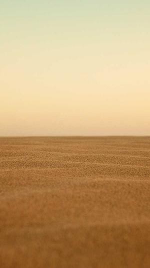 超级蜘蛛池最新章节截图1