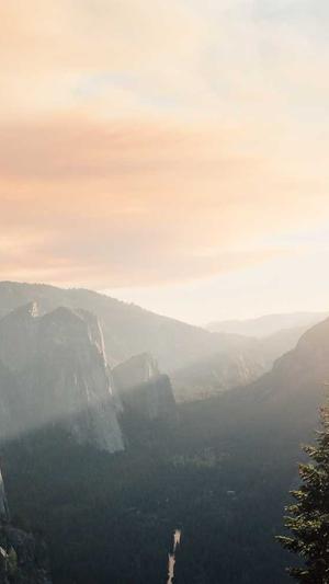 聚合搜索泛目录站群二开源码截图3