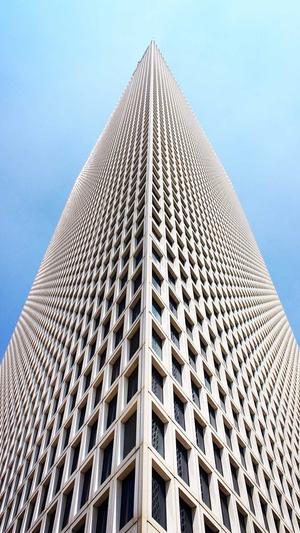 泛目录推广平台截图2