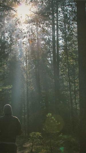 超级蜘蛛池的运行原理截图4