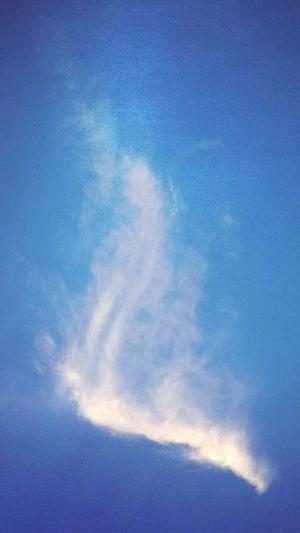 seo入门书籍截图2