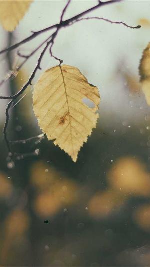 外贸网站建设截图1