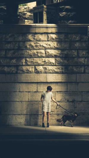 北京网站的建设公司截图4